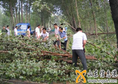 陵縣鄭寨所積極開展雨后防汛排險(xiǎn)工作 (4)_副本.jpg